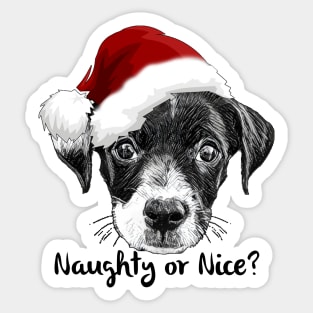 Naughty or Nice Sticker